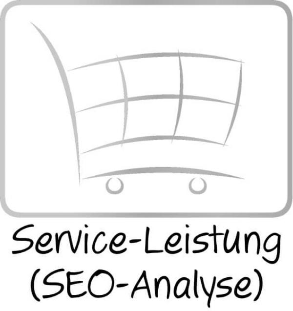 SEO-Analyse für Online-Shops und Websites